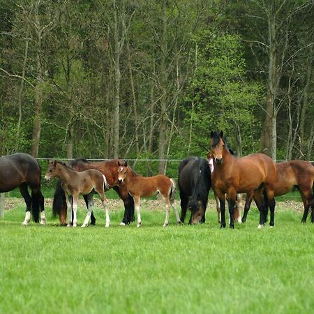 Filippus Vakantiehoeve Maldegem Zewnętrze zdjęcie
